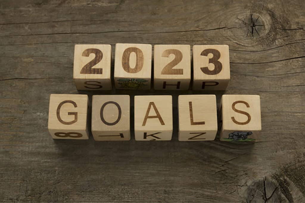 8 Tips To Help you Achieve Your New Year Goals