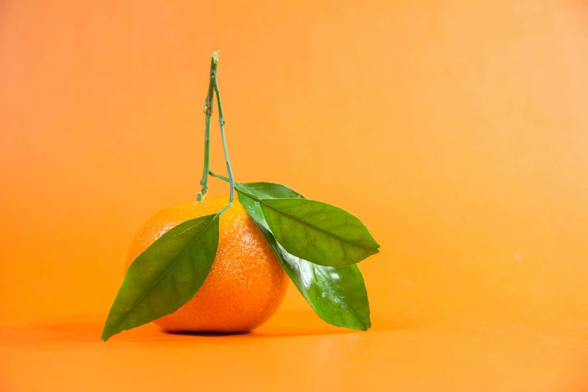 The Comprehensive Guide to High-Dose Vitamin C IV Therapy